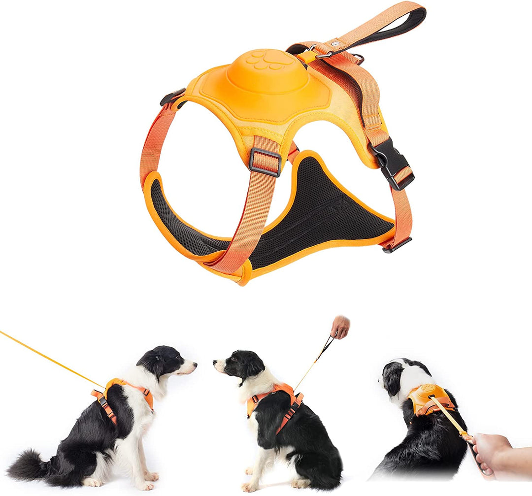 Azura | mamymarket™ - Dog Harness and Retractable Leash Set All-in-One