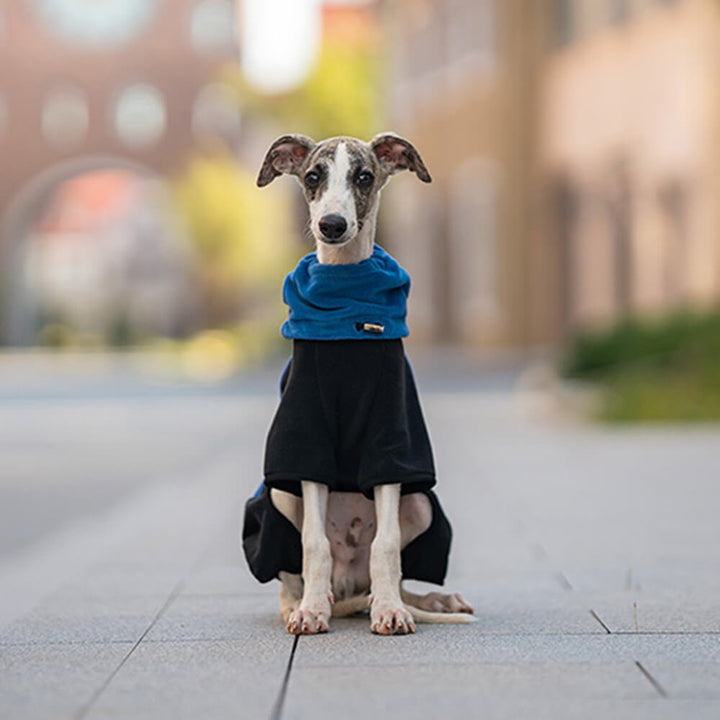 Azura | Full Protection Polar Fleece Dog Overall with Removable Collar