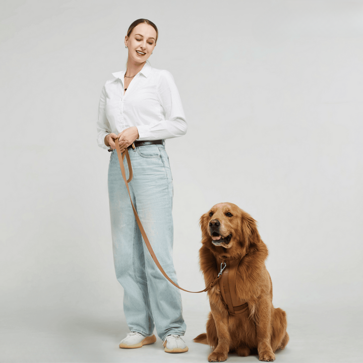 Azura | ComfyPaws Dog Harness Walking Set with Leash and Poop Bag Holder