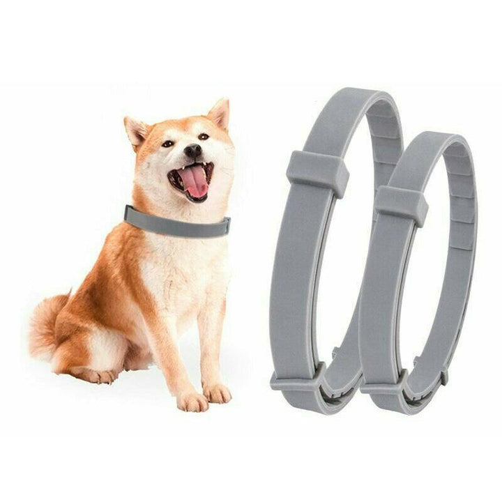 Azura | Adjustable Insect Defense Collar for Pets