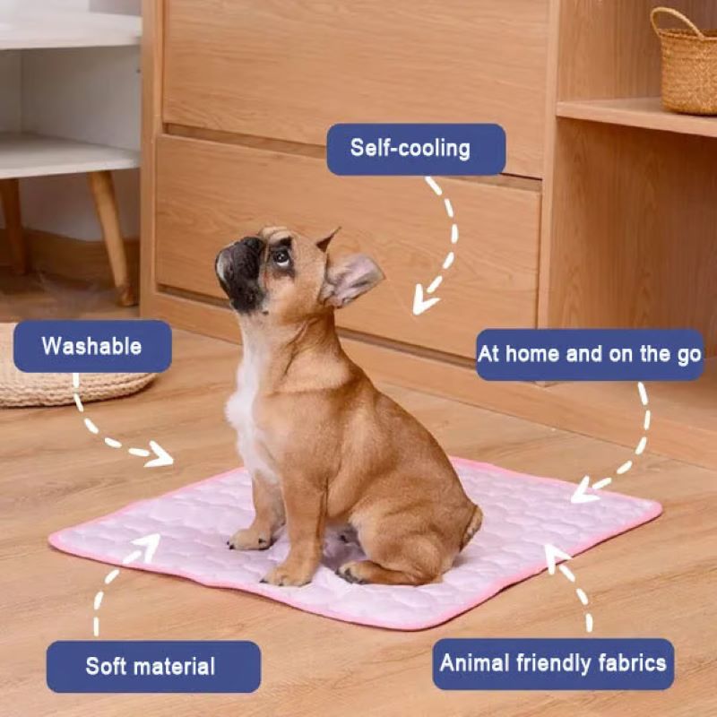 Azura | Cooling Mat for Dogs (4x More Effective)