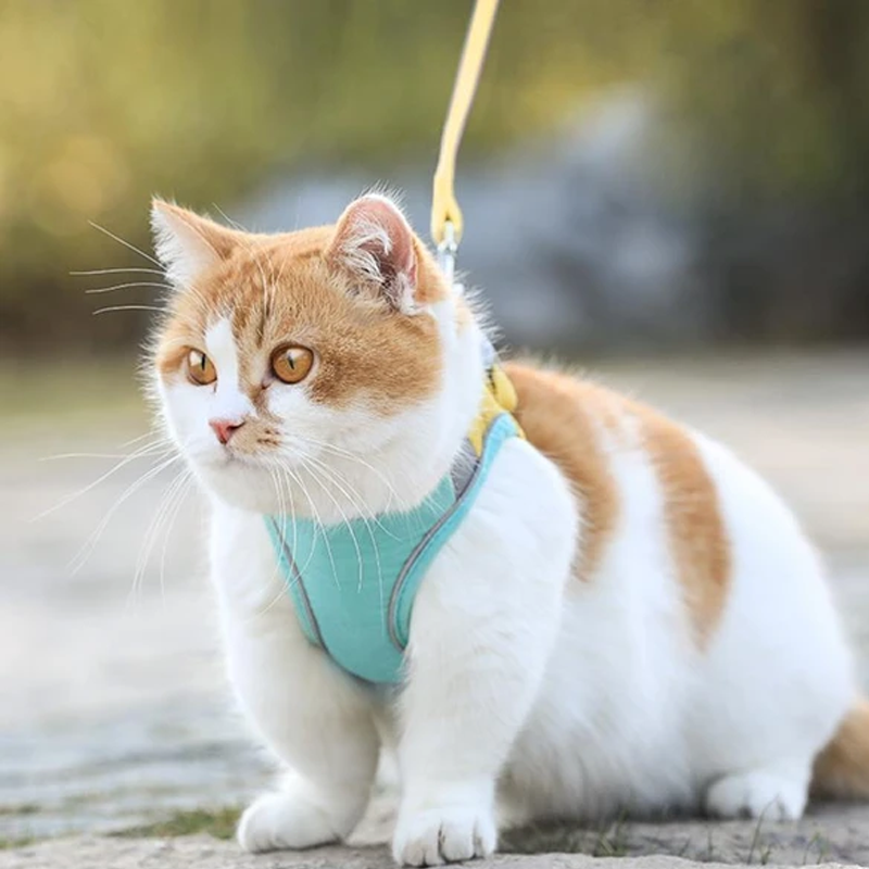 Azura | Cat Vest Harness and Leash Set