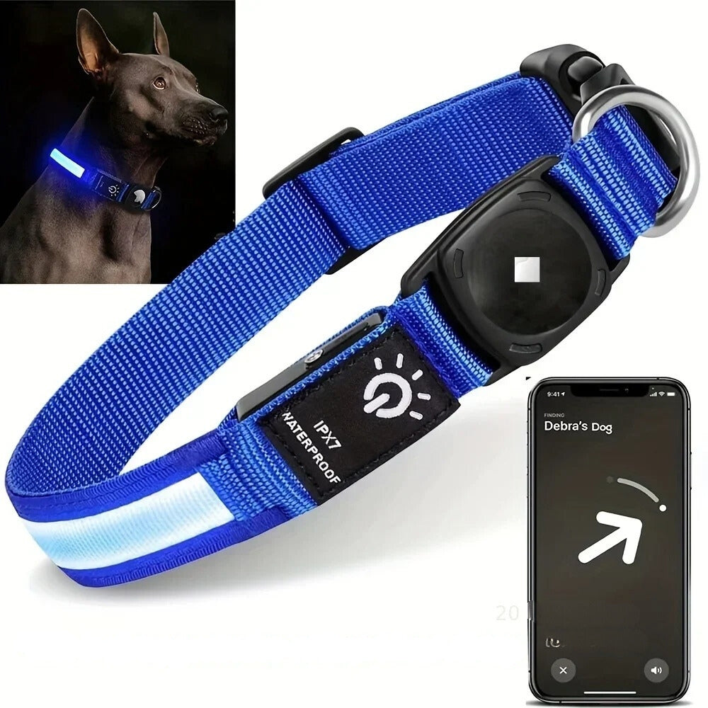 Azura | Flashing Dog Collars – Waterproof LED Light Up Dog Collar with USB Rechargeable Glow, Dog Collars Illuminated for Night Safety, All Sizes