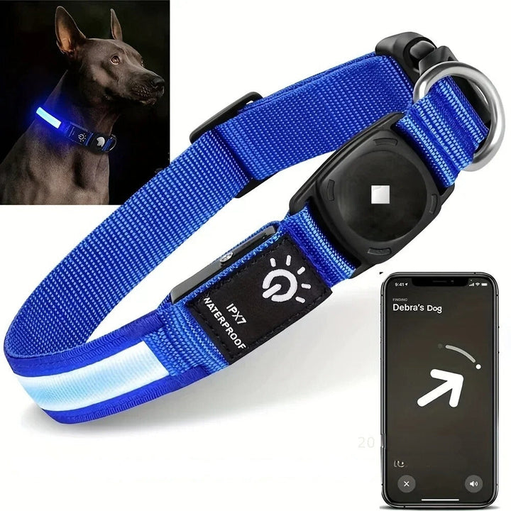 Azura | Flashing Dog Collars – Waterproof LED Light Up Dog Collar with USB Rechargeable Glow, Dog Collars Illuminated for Night Safety, All Sizes