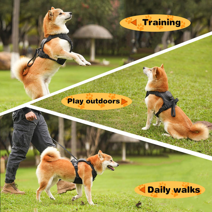 Azura | mamymarket™ - Dog Harness and Retractable Leash Set All-in-One