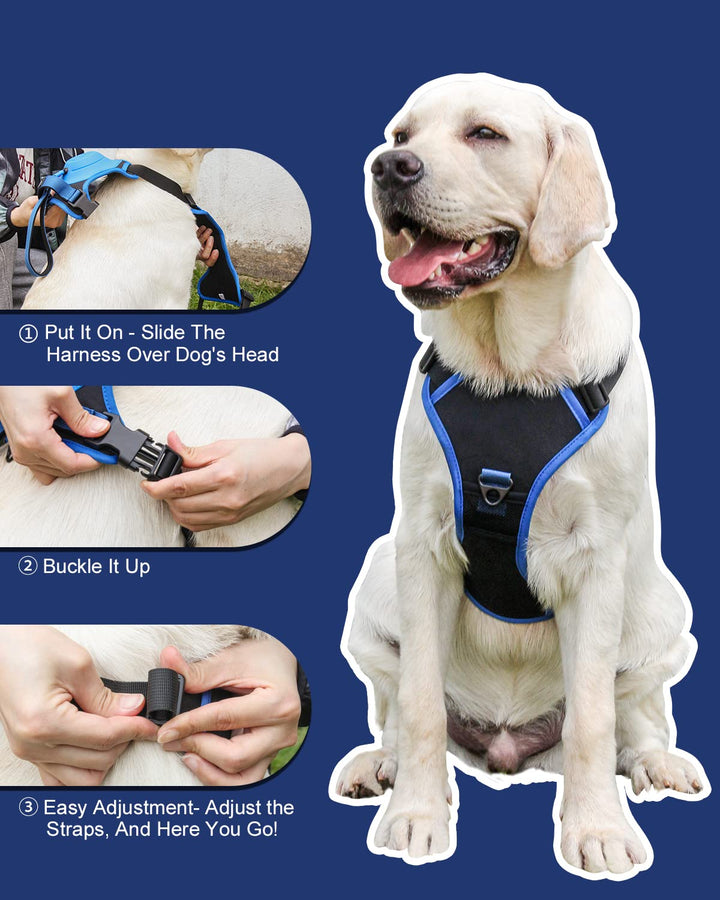 Azura | mamymarket™ - Dog Harness and Retractable Leash Set All-in-One