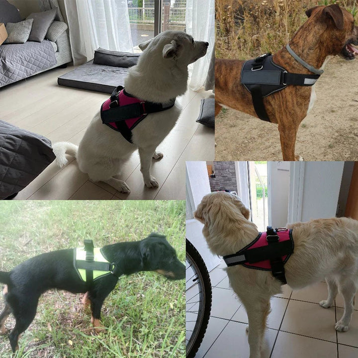 Azura | Anti Choke Dog Harness