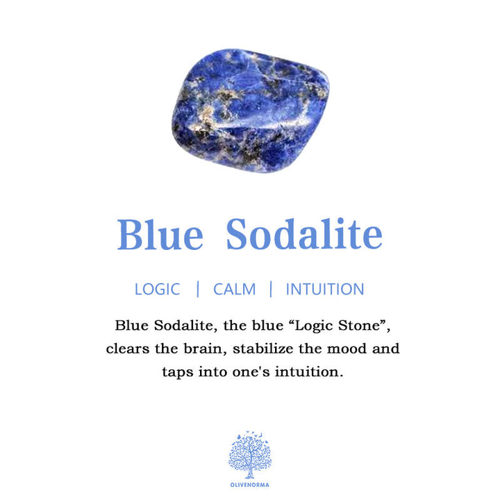 BowLift | 2.5 Inch Crystal Dinosaur Home Decoration Gemstone Decor