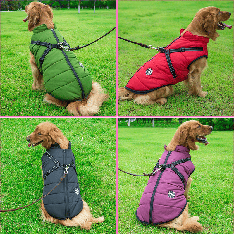 Azura | PupGuard - Winter-Dog Coat with Harness
