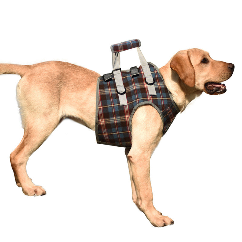 Azura | Orthopedic Rear Leg Support Harness for Dogs – Ideal for Arthritis, Hip Dysplasia & Mobility Aid