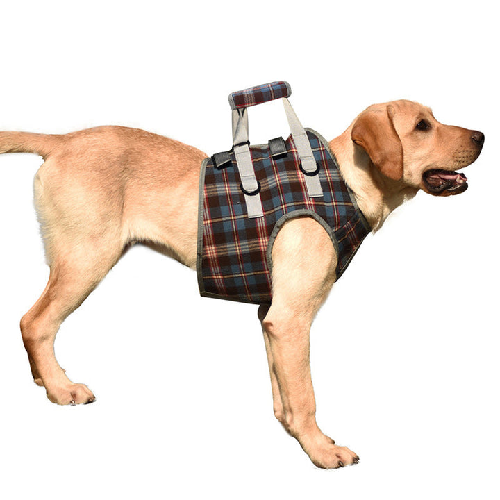 Azura | Orthopedic Rear Leg Support Harness for Dogs – Ideal for Arthritis, Hip Dysplasia & Mobility Aid