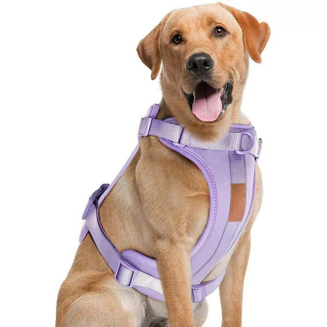 Azura | ComfyPaws Dog Harness Walking Set with Leash and Poop Bag Holder