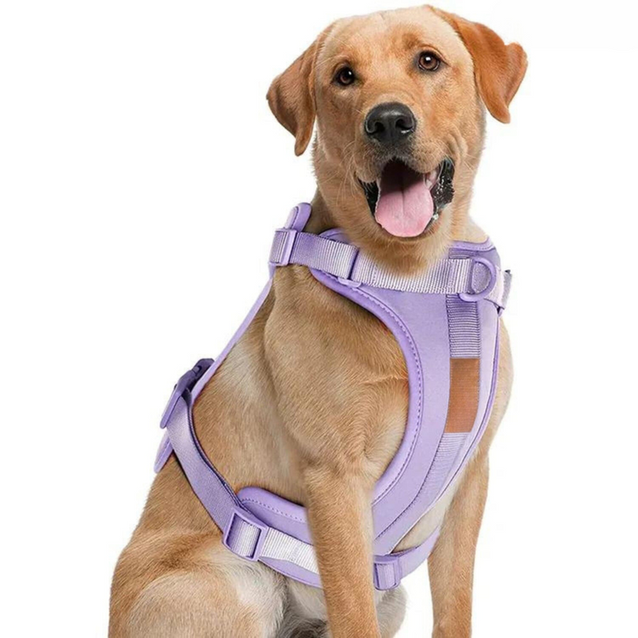 Azura | ComfyPaws Dog Harness Walking Set with Leash and Poop Bag Holder