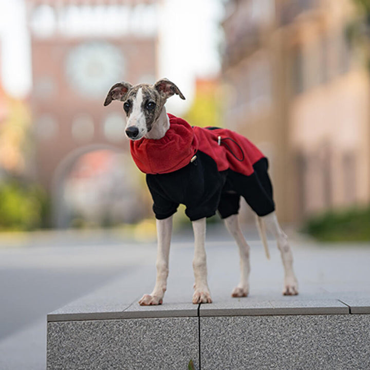 Azura | Full Protection Polar Fleece Dog Overall with Removable Collar