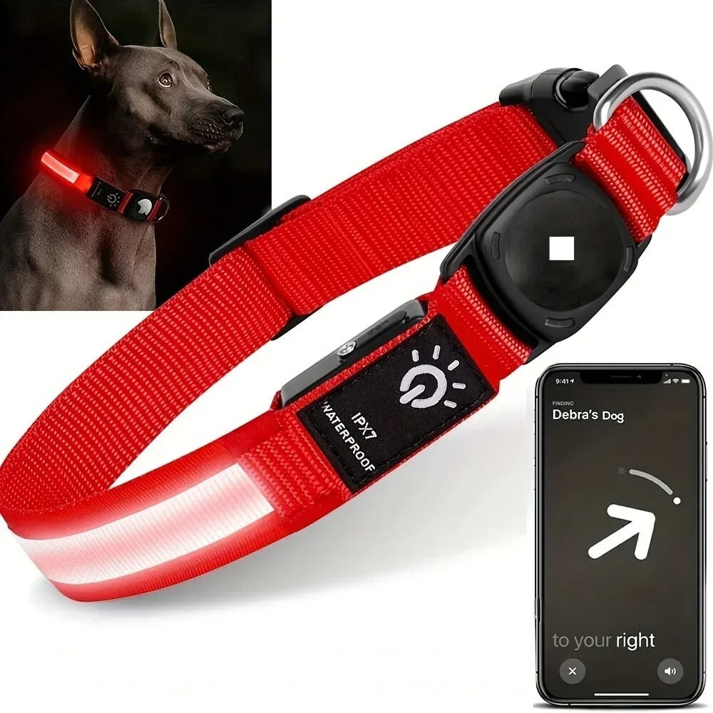 Azura | Flashing Dog Collars – Waterproof LED Light Up Dog Collar with USB Rechargeable Glow, Dog Collars Illuminated for Night Safety, All Sizes
