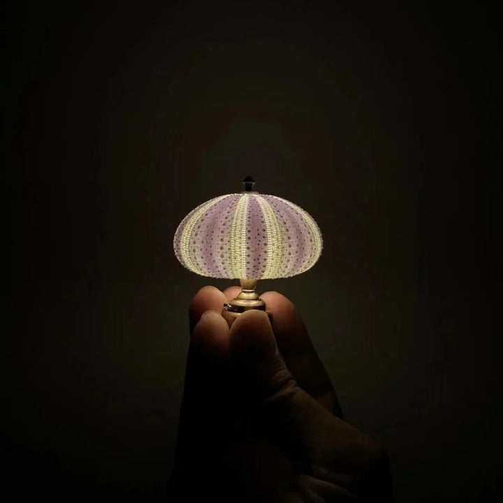 BowLift | LumiCraft – Unique DIY table lamp with natural sea shell for a cozy décor