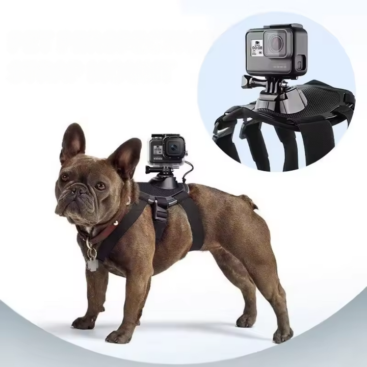 Action-Cam Dog Harness with 360° Perspective Azura