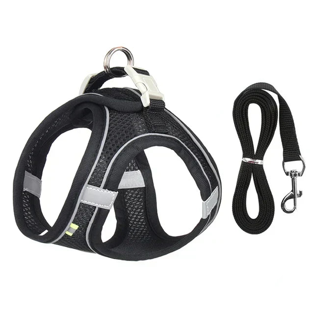 Adventurous Cat Harness with Leash – Adjustable and Reflective | Azura