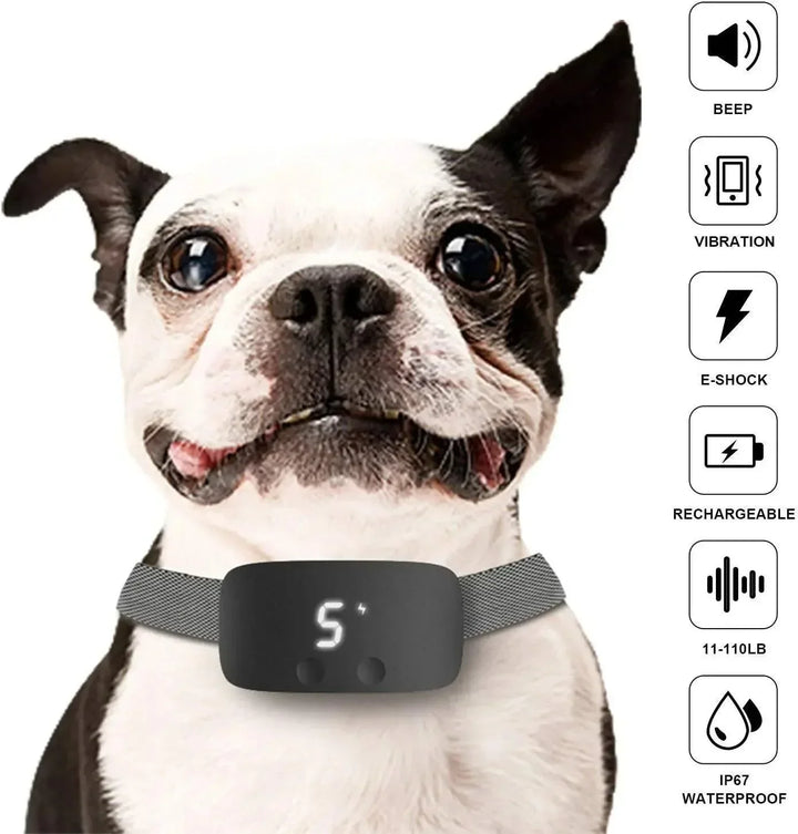 Azura | Automatic No-Bark Dog Collar – Rechargeable Waterproof Anti-Barking Training Collar for All Breeds
