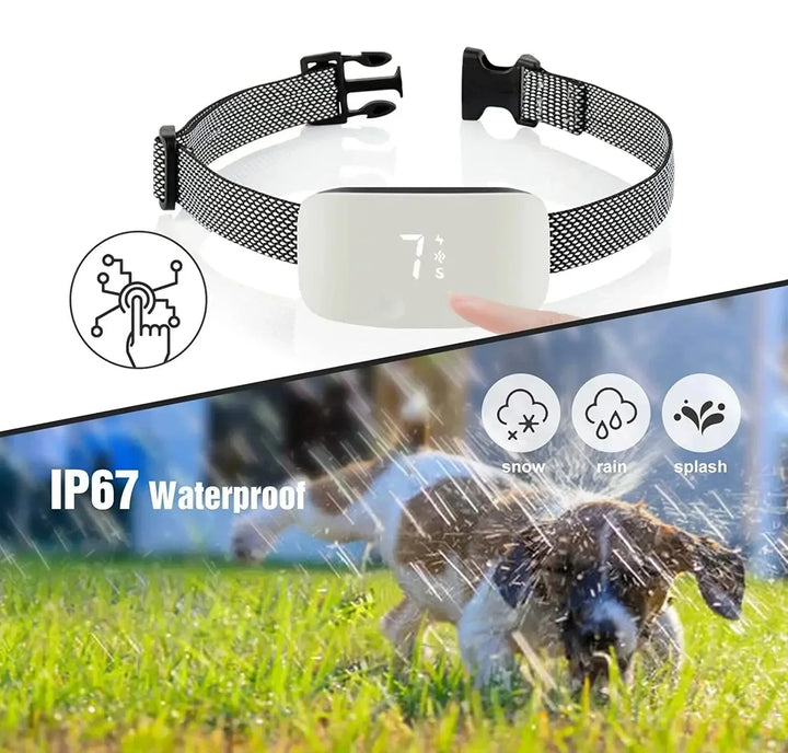 Azura | Automatic No-Bark Dog Collar – Rechargeable Waterproof Anti-Barking Training Collar for All Breeds