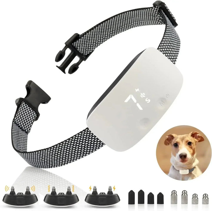 Azura | Automatic No-Bark Dog Collar – Rechargeable Waterproof Anti-Barking Training Collar for All Breeds
