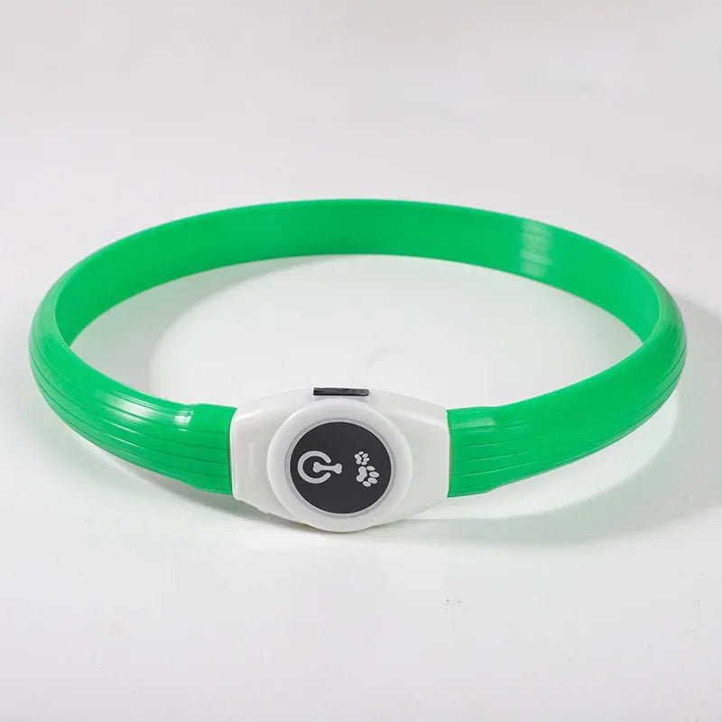 Azura | LED Light Collar for Dogs for Safe Walks at Night