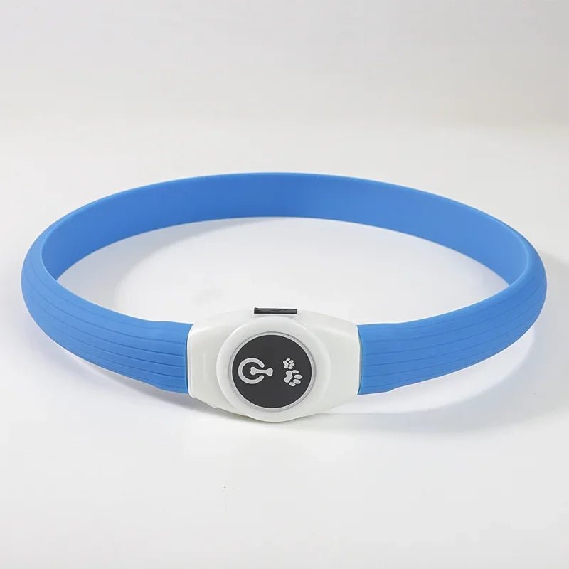 Azura | LED Light Collar for Dogs for Safe Walks at Night