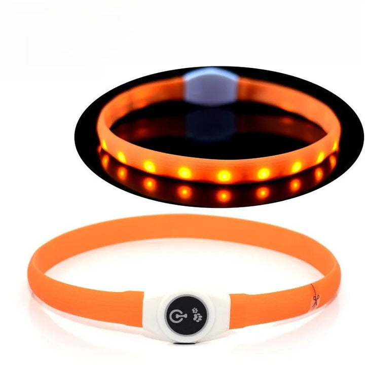 Azura | LED Light Collar for Dogs for Safe Walks at Night