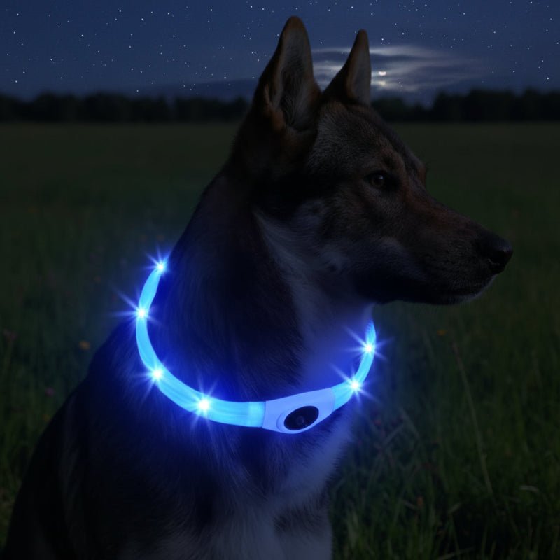 Azura | LED Light Collar for Dogs for Safe Walks at Night