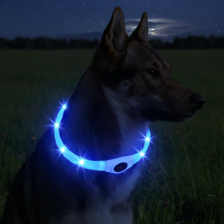 Azura | LED Light Collar for Dogs for Safe Walks at Night