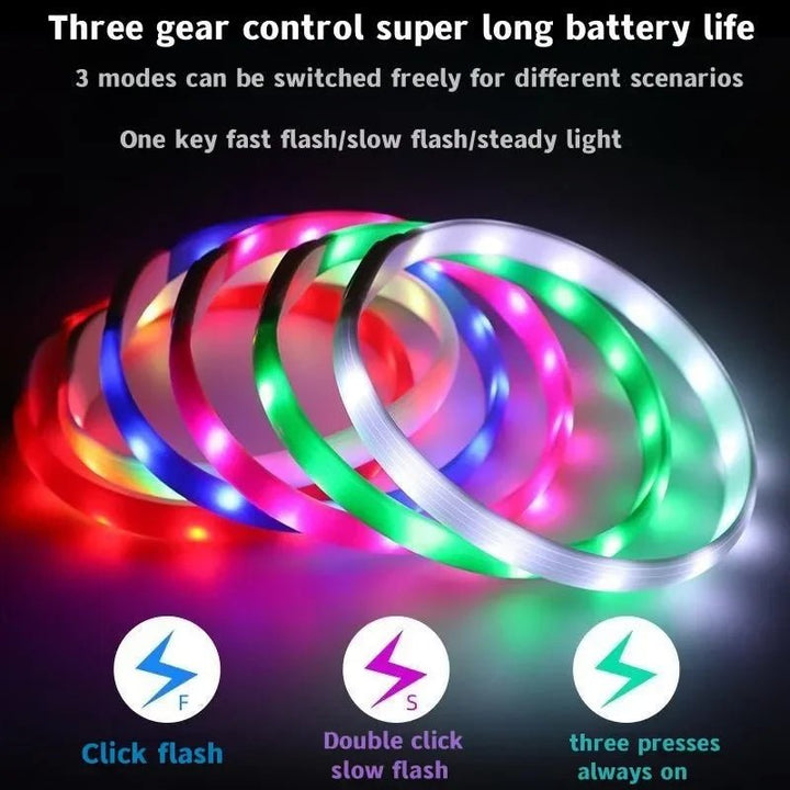 Azura | LED Light Collar for Dogs for Safe Walks at Night