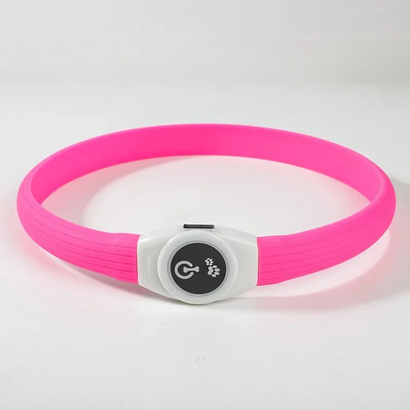 Azura | LED Light Collar for Dogs for Safe Walks at Night