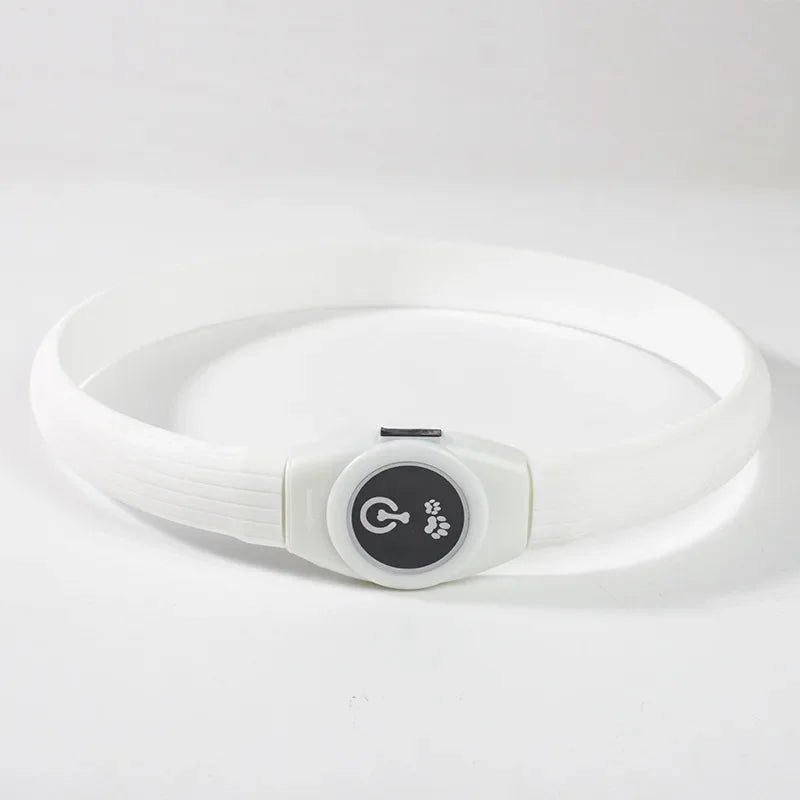 Azura | LED Light Collar for Dogs for Safe Walks at Night
