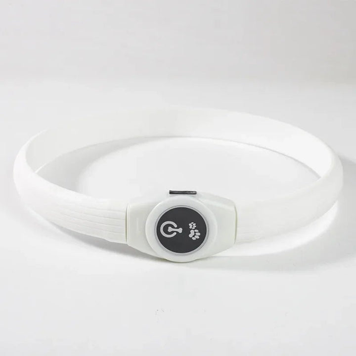 Azura | LED Light Collar for Dogs for Safe Walks at Night