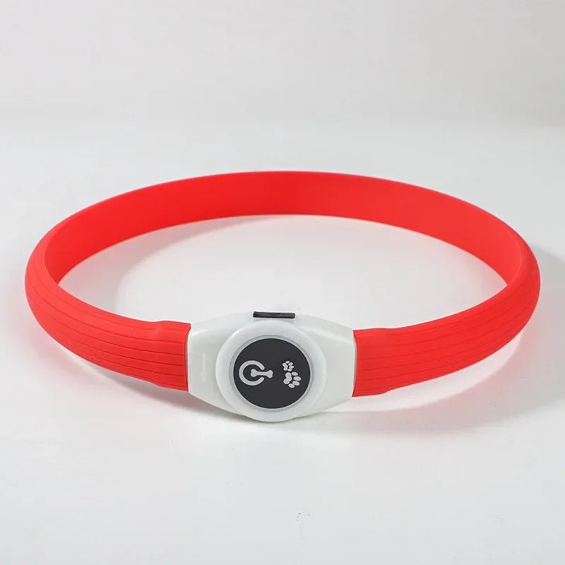 Azura | LED Light Collar for Dogs for Safe Walks at Night