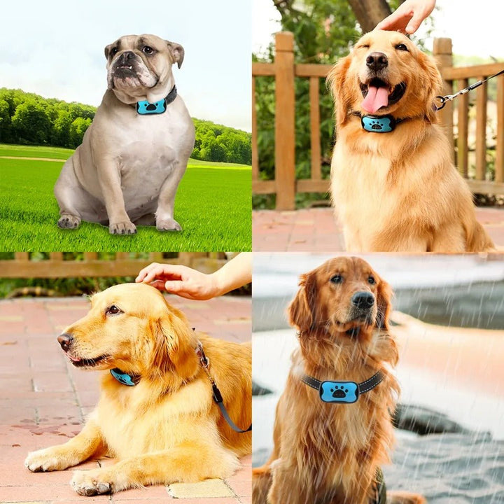 Azura | Intelligent Anti-Bark Dog Collar with Sonic Wave Technology and Adjustable Fit