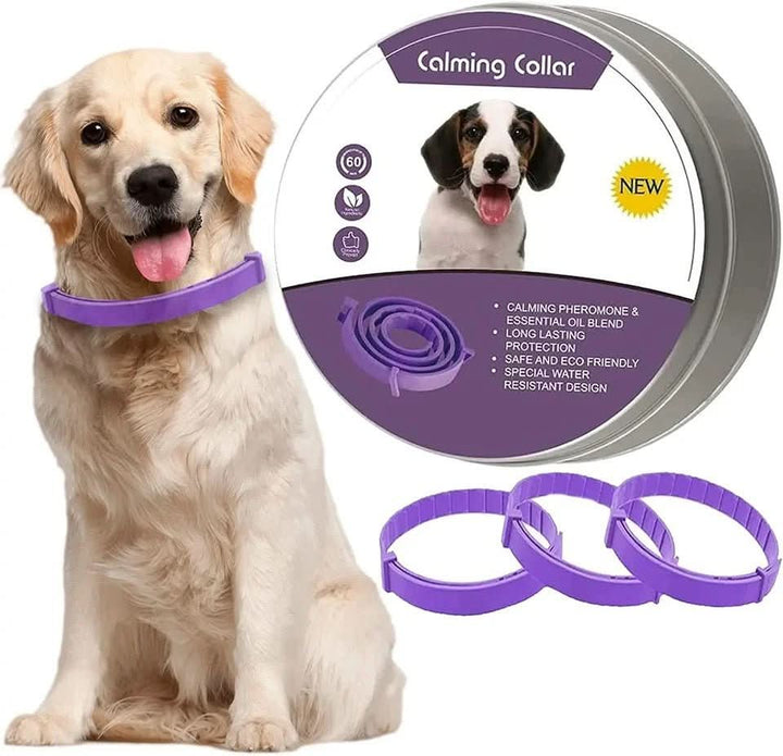 Azura | Calming collar with pheromones for relaxed dogs