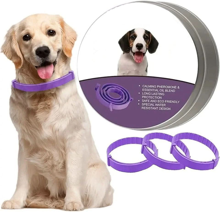 Azura | Calming collar with pheromones & essential oils for dogs