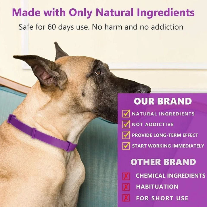 Azura | Calming collar with pheromones & essential oils for dogs