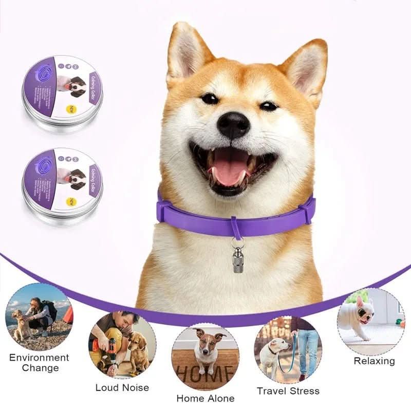 Azura | Calming collar with pheromones & essential oils for dogs