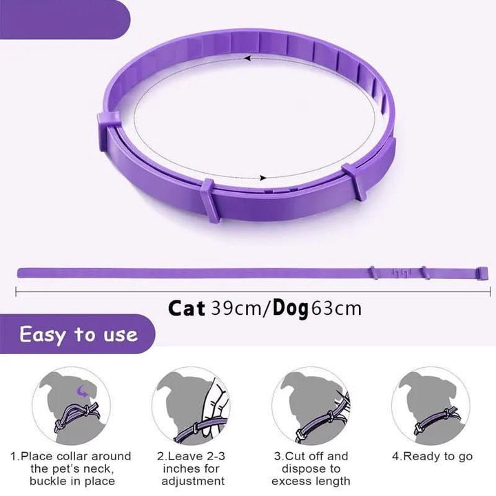 Azura | Calming collar with pheromones & essential oils for dogs