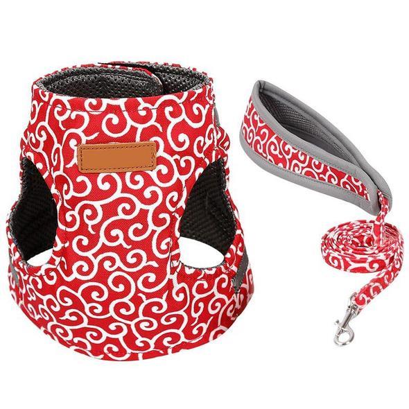 Azura | Cat Vest Harness and Leash Set to Outdoor Walking