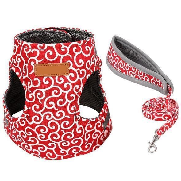 Azura | Cat vest harness and leash set for walks