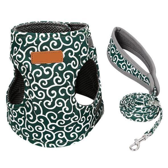 Azura | Cat vest harness and leash set for walks