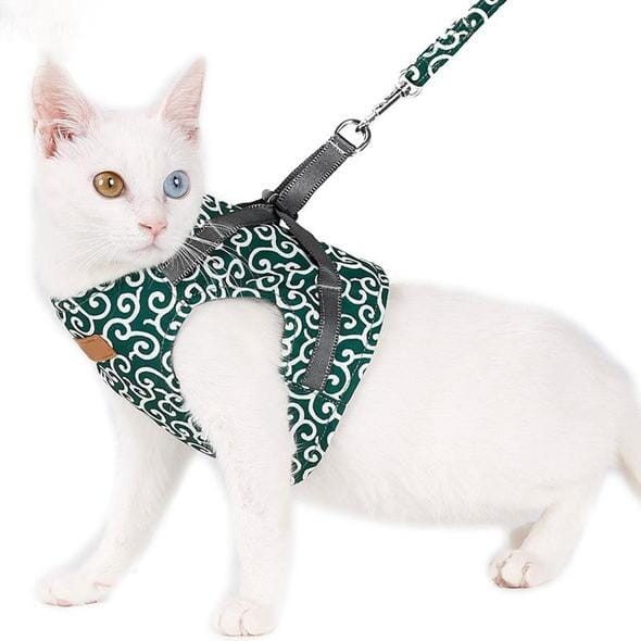 Azura | Cat vest harness and leash set for walks