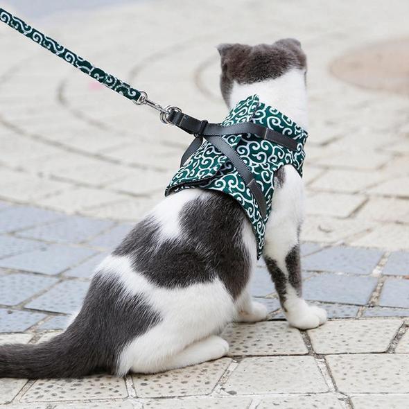 Azura | Cat Vest Harness and Leash Set to Outdoor Walking