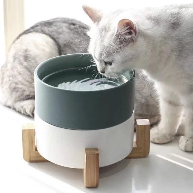 Azura | Ceramic Feeding Bowls