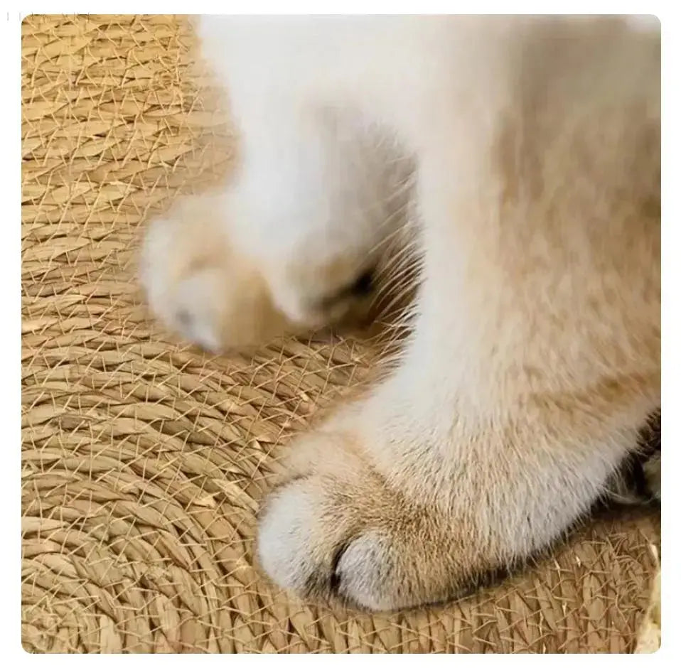 Azura | Cozypets – Super soft and comfortable cat bed