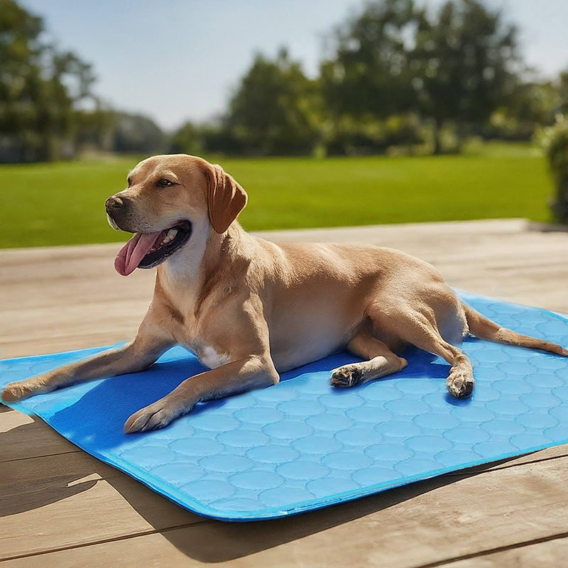 Azura | Self-Cooling Mat for Quadrupeds Perfect for Hot Summer