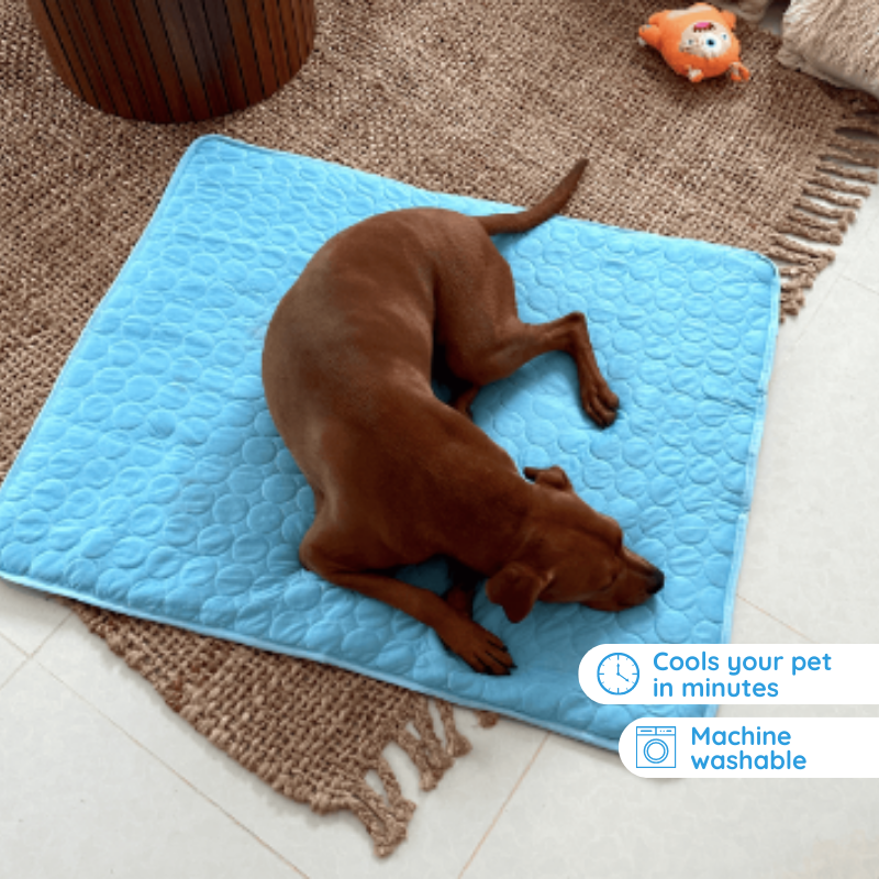 Azura | Self-Cooling Mat for Quadrupeds Perfect for Hot Summer